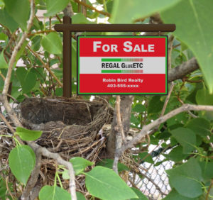 Nest for sale